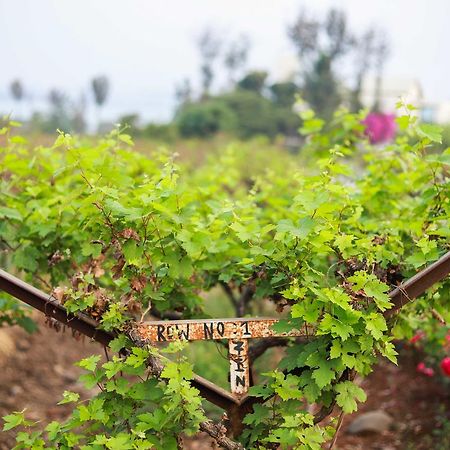 V Resorts Soma Vine Village Mahiravani Luaran gambar