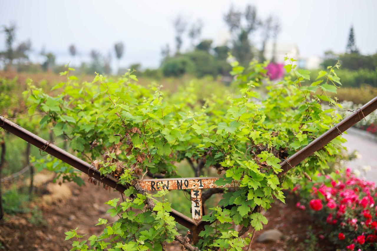 V Resorts Soma Vine Village Mahiravani Luaran gambar